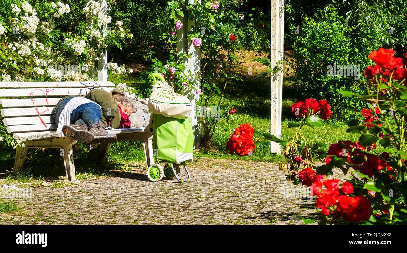 Berlin, Germany, June 20, 2022: Old man with tattered clothes sleeps in bright sunlight on white bench in rose garden Stock Photo