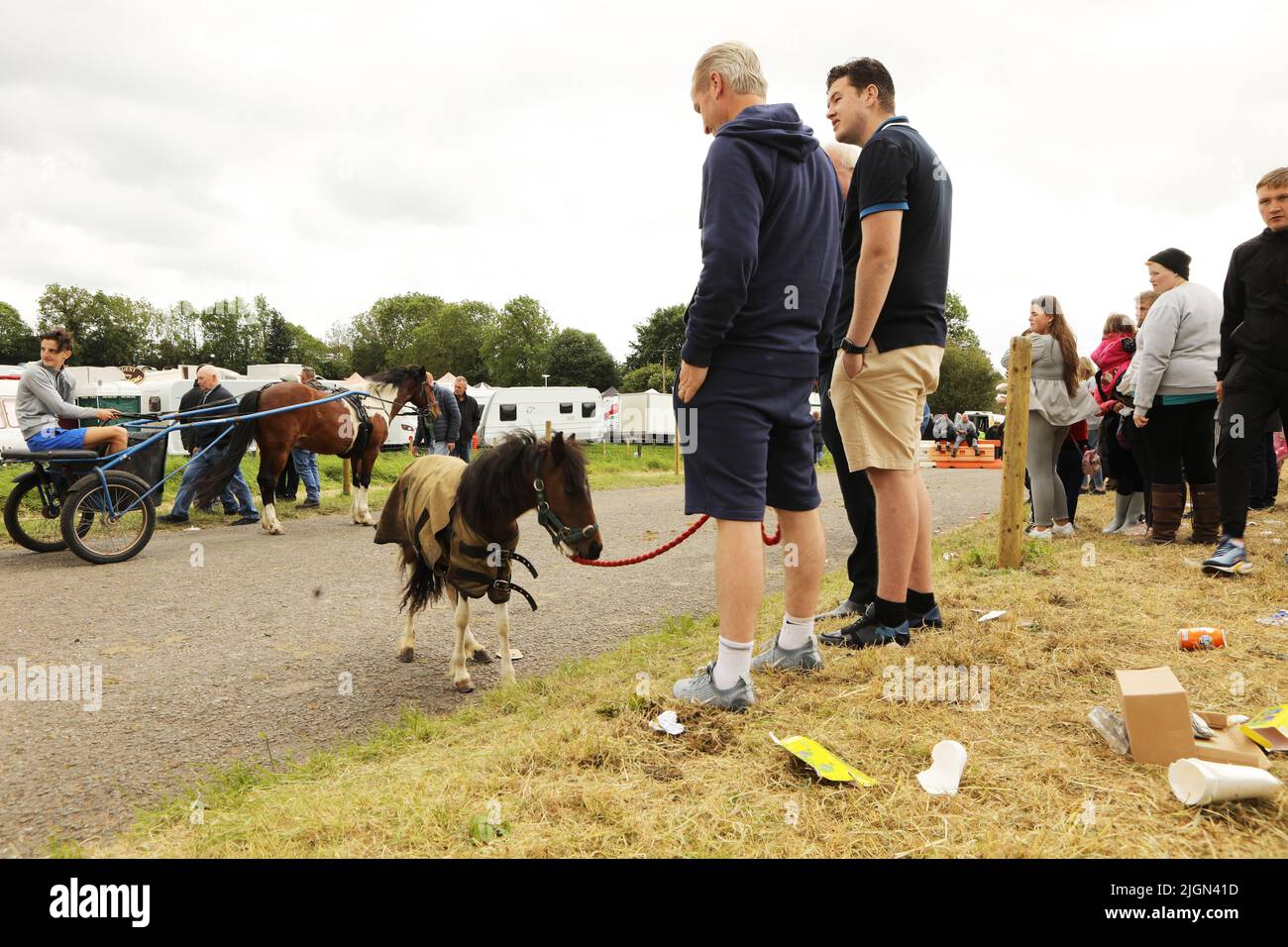 A man leading a coloured miniature horse wearing a rug. Appleby Horse Fair, Appleby in Westmorland, Cumbria Stock Photo