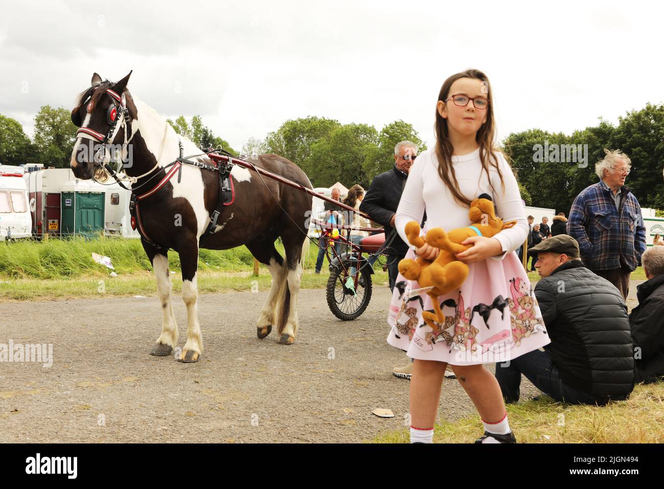A young girl holding a cuddly toy, looking at a horse and trap. Appleby Horse Fair, Appleby in Westmorland, Cumbria Stock Photo