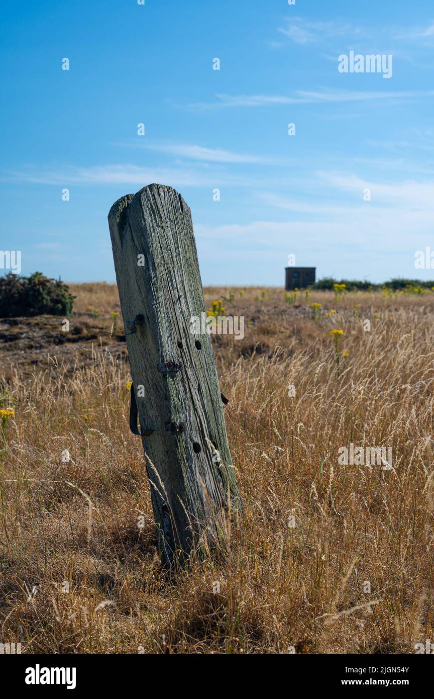 An old wooden post part of the world war 2 defences at Orford Ness, Suffolk, UK Stock Photo