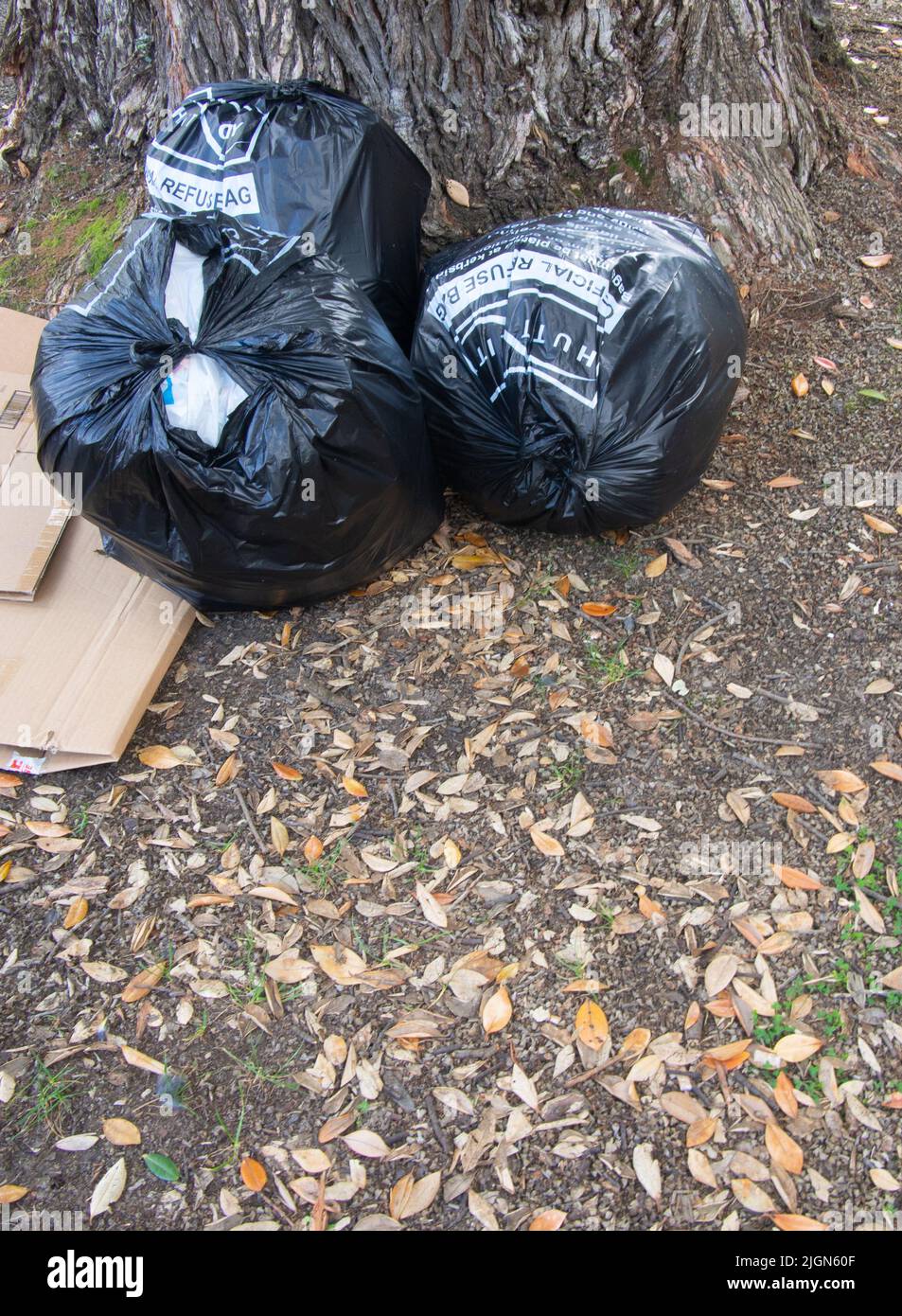 Three Black Rubbish Bags Stock Photo