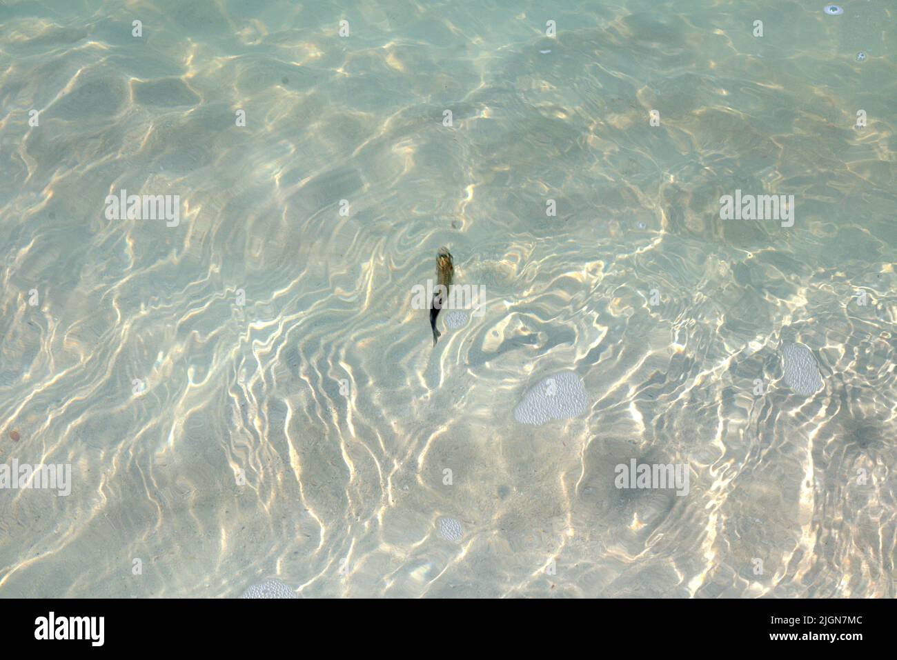 Madagascar beach photo session Stock Photo