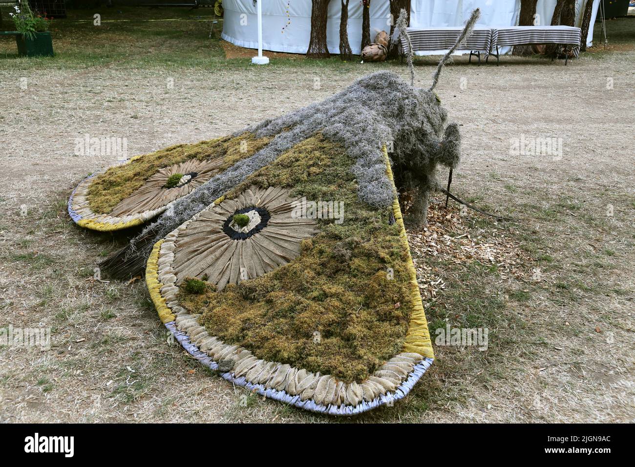 Giant moth sculpture, RHS Hampton Court Palace Garden Festival 2022, London, England, UK, Europe Stock Photo