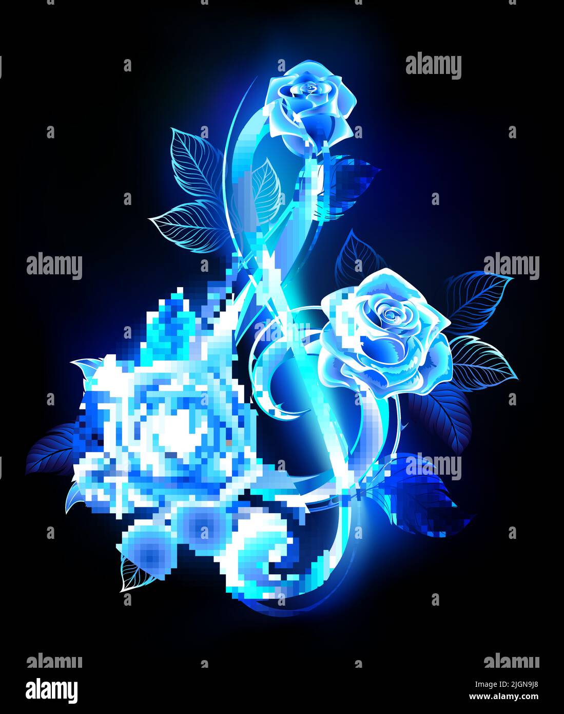 Blue flame musical treble clef decorated with blooming blue, glowing roses on black background. Stock Vector