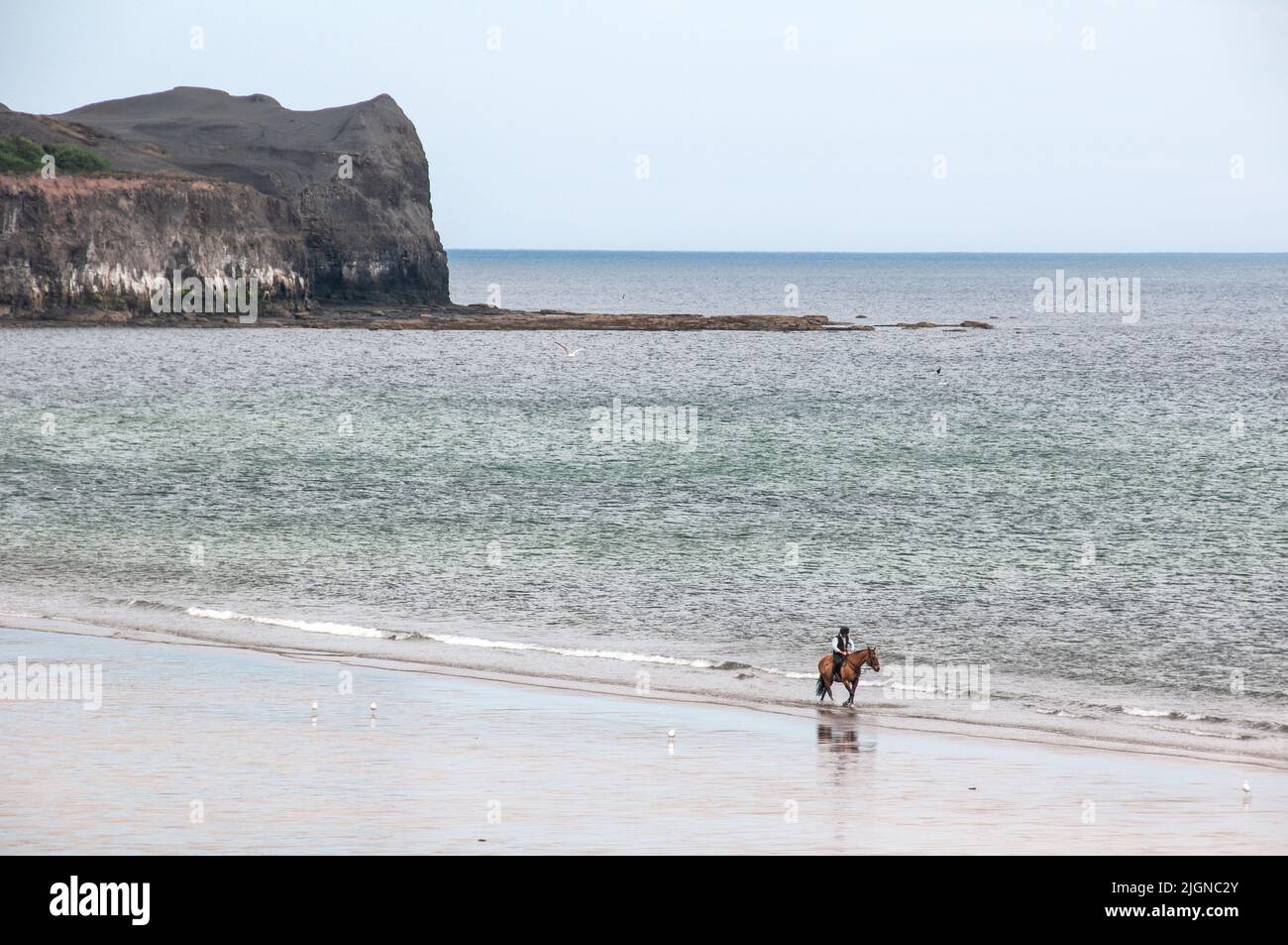 Around the UK - Single horse rider on Sandsend Bay, , North Yorkshire, UK Stock Photo