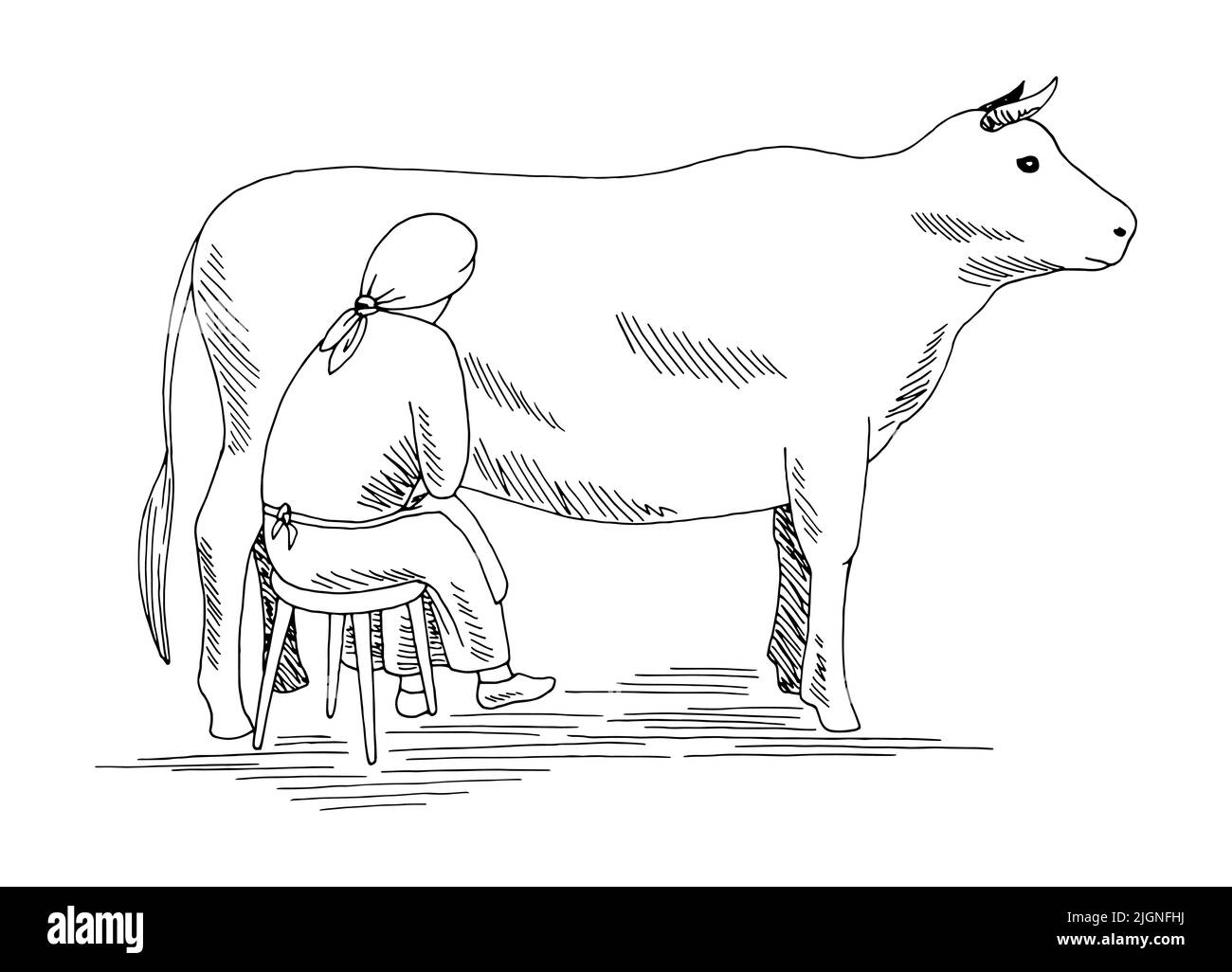 Woman milking a cow graphic black white isolated sketch illustration vector Stock Vector