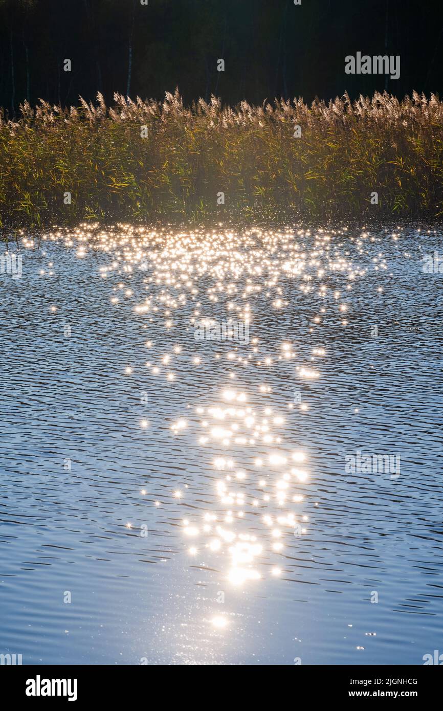Water reflections in a lake Stock Photo