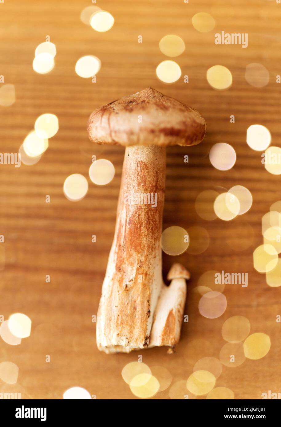 Red flat cap mushroom hires stock photography and images Alamy
