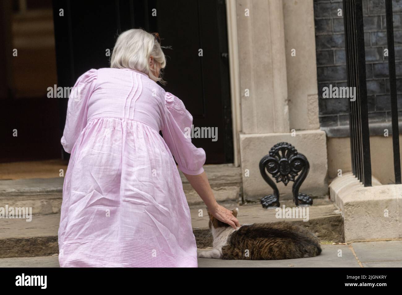 London, UK. 12th July, 2022. Nadine Dorries, Culture Secretary, strokes Larry the Downing Street cat as she arrives at a cabinet meeting at 10 Downing Street London. Credit: Ian Davidson/Alamy Live News Stock Photo