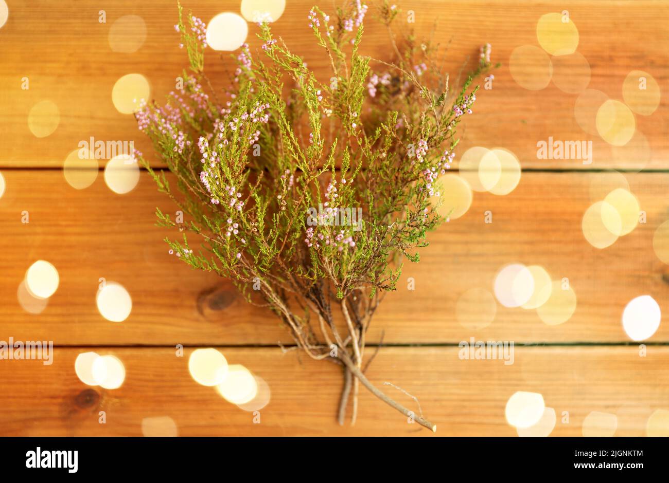 heather bush on wooden table Stock Photo