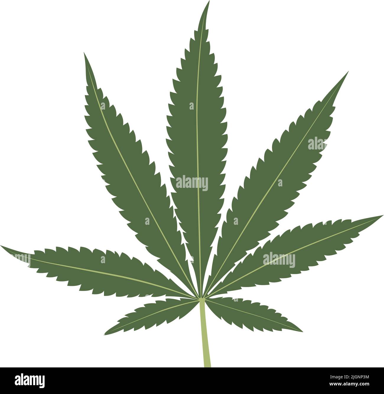 Cannabis leaf isolated on white background. Stock Vector