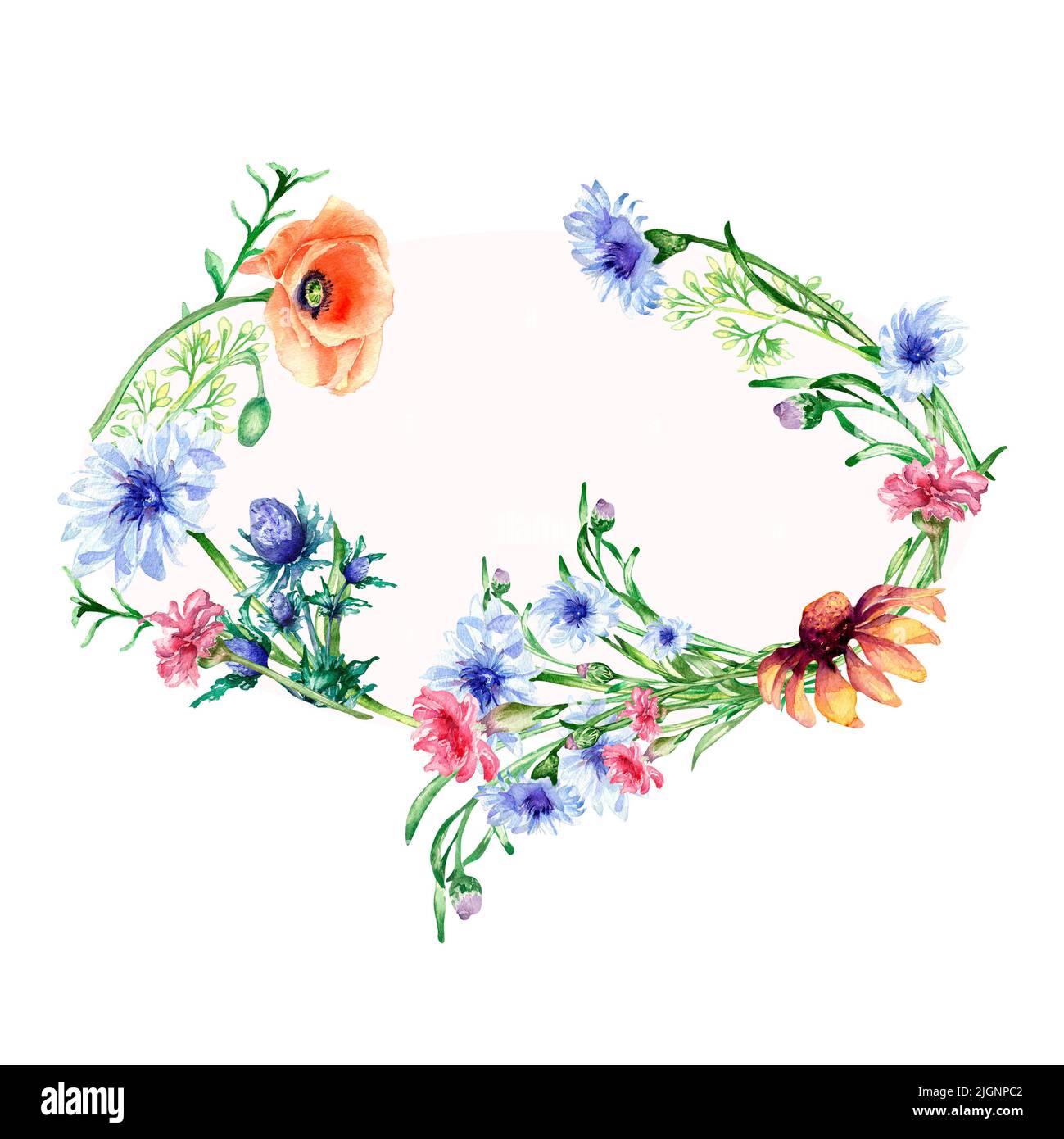Frame with meadow colorful flowers watercolor illustration isolated. Wildflowers poppy, blue cornflower wreath hand painted. Design elements for greet Stock Photo