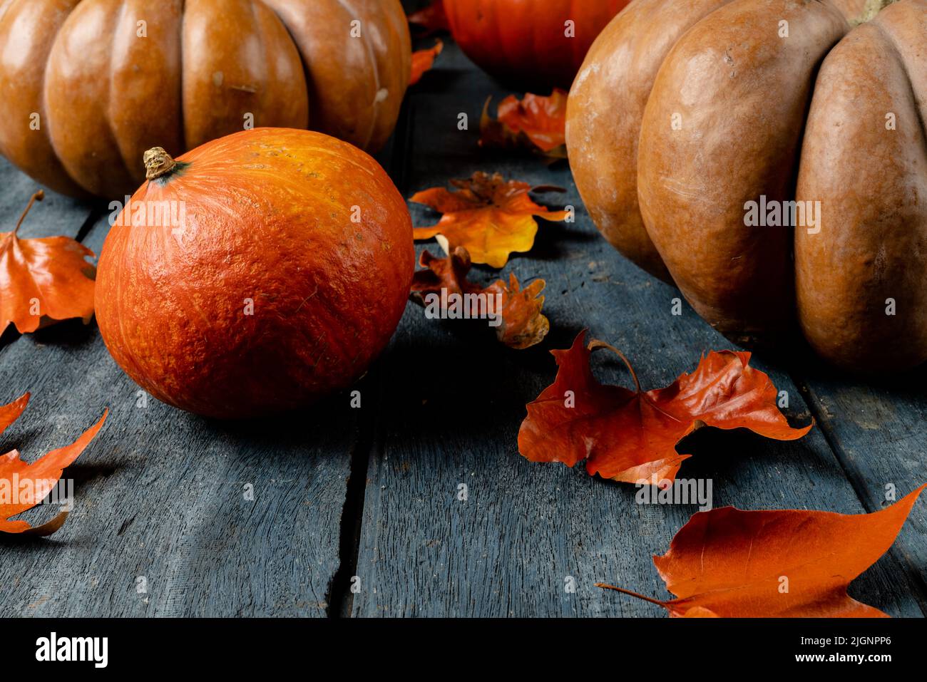 Composition of pumpkins and autumn leaves on wooden background Stock ...
