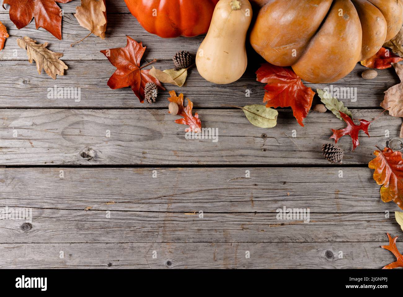 Composition of pumpkins with pinecones and autumn leaves on wooden ...
