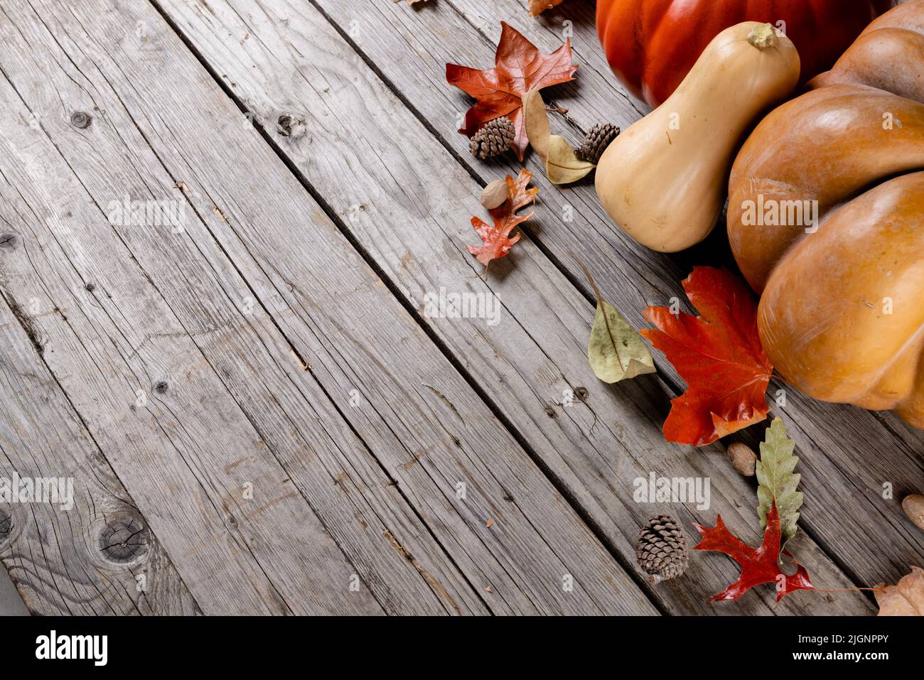 Composition of pumpkins with pinecones and autumn leaves on wooden ...