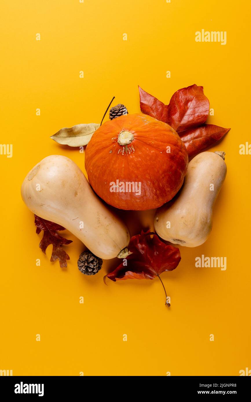 Composition of pumpkins with pinecones and autumn leaves on orange ...