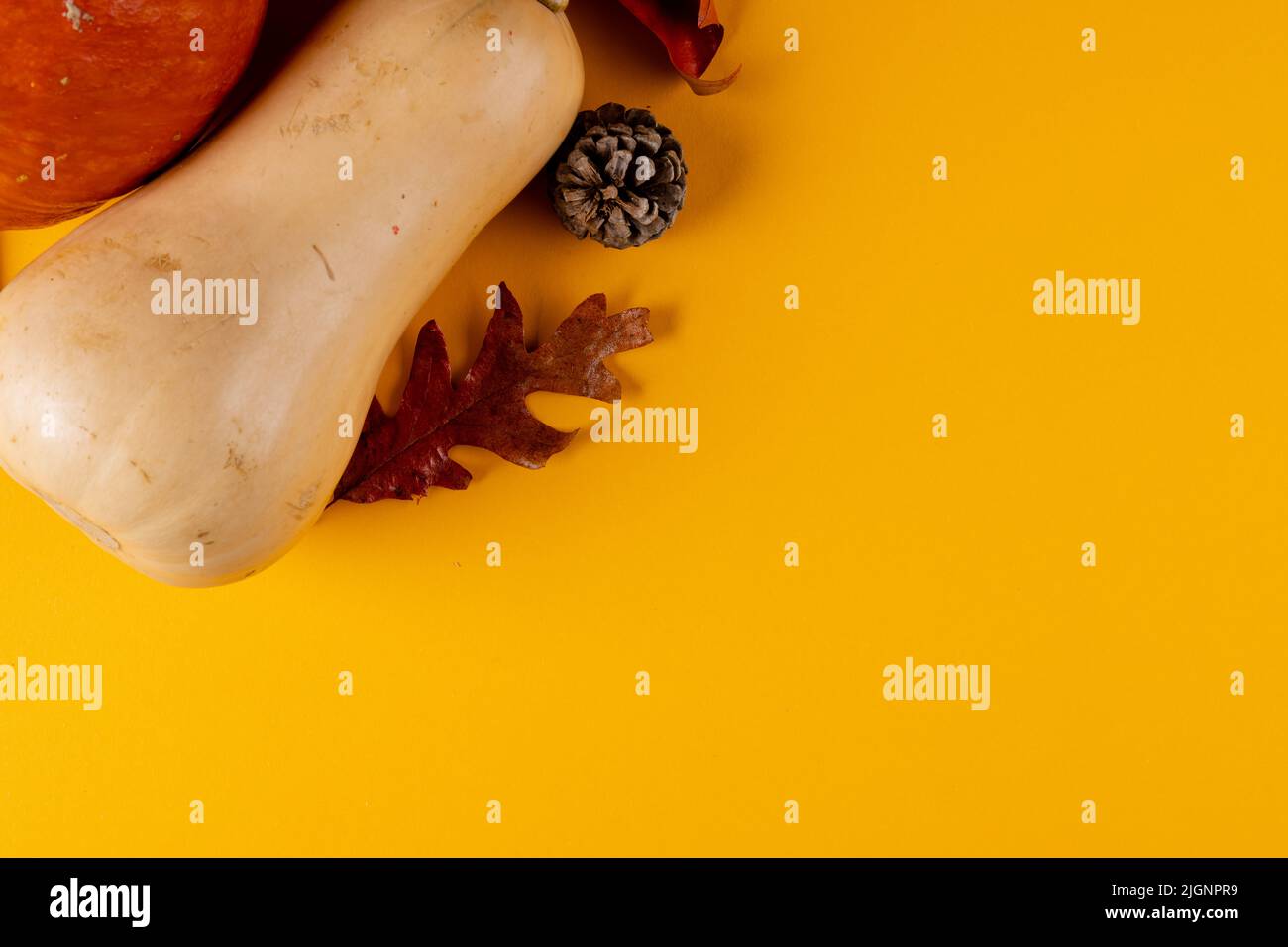 Composition of pumpkins with pinecones and autumn leaves on orange ...