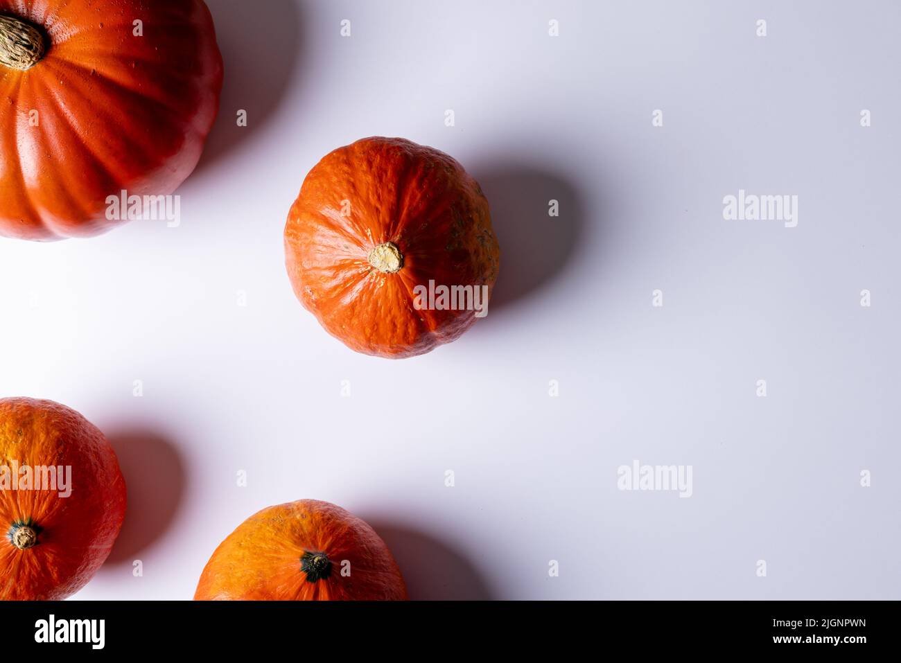 Composition of multiple orange pumpkins lying on white background Stock ...