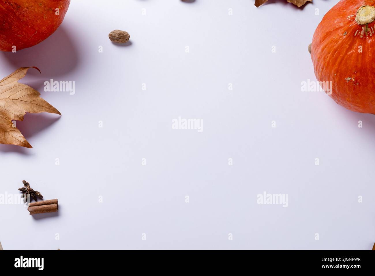 Composition of pumpkins with acorns and autumn leaves on white ...
