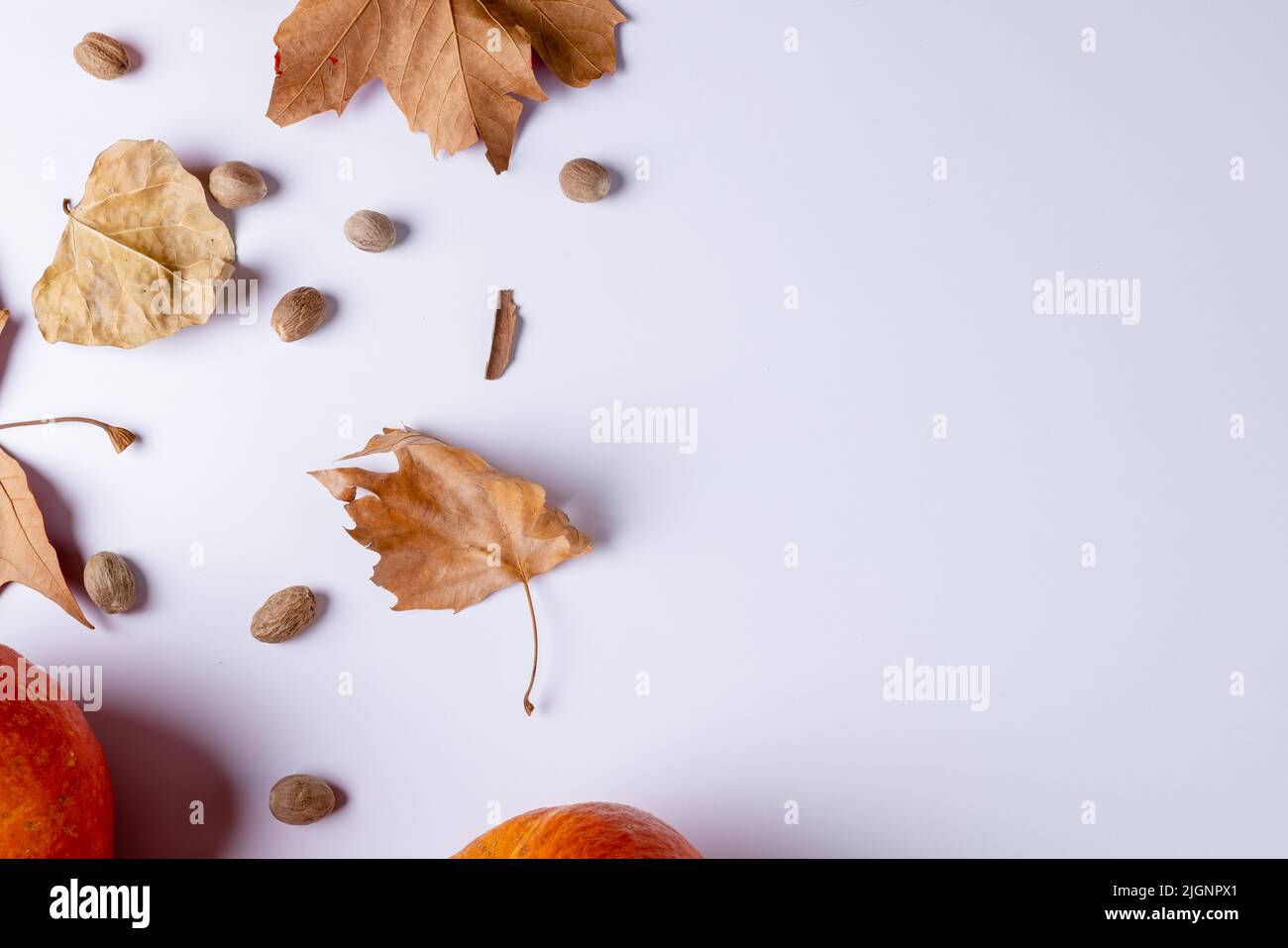 Composition of pumpkins with acorns and autumn leaves on white ...
