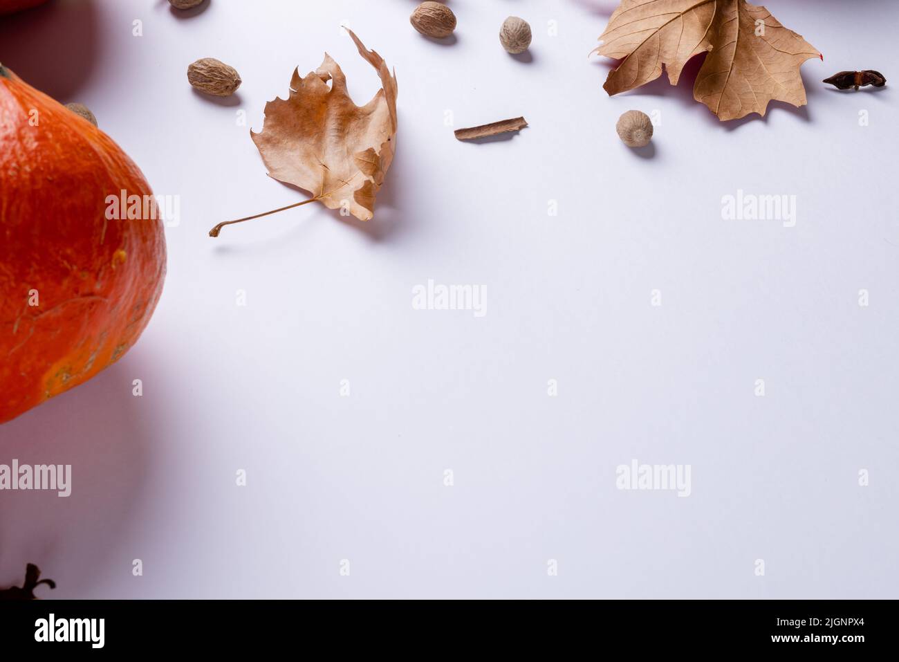 Composition of pumpkins with acorns and autumn leaves on white ...
