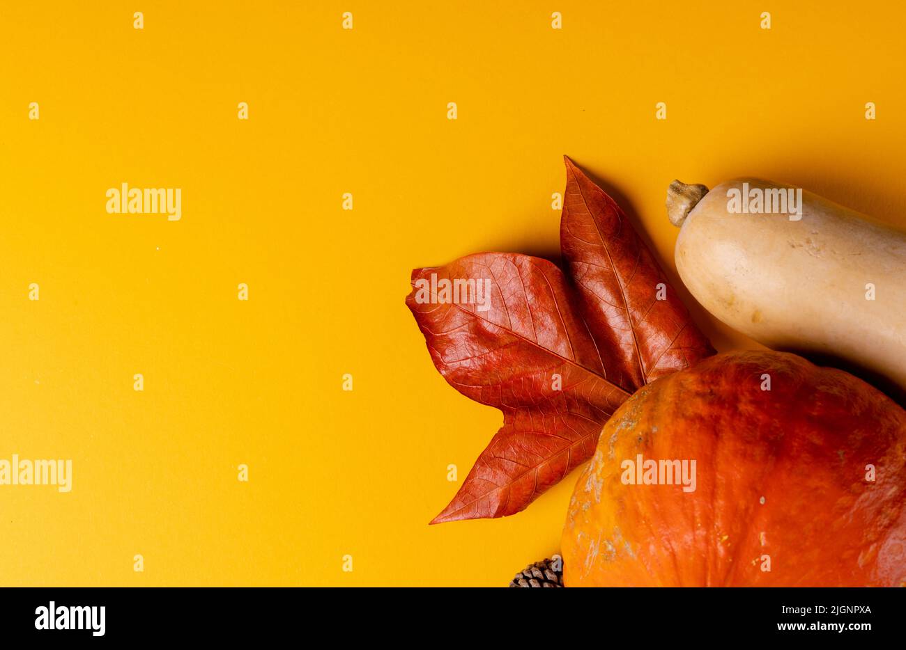 Composition of pumpkins with pinecones and autumn leaves on orange ...