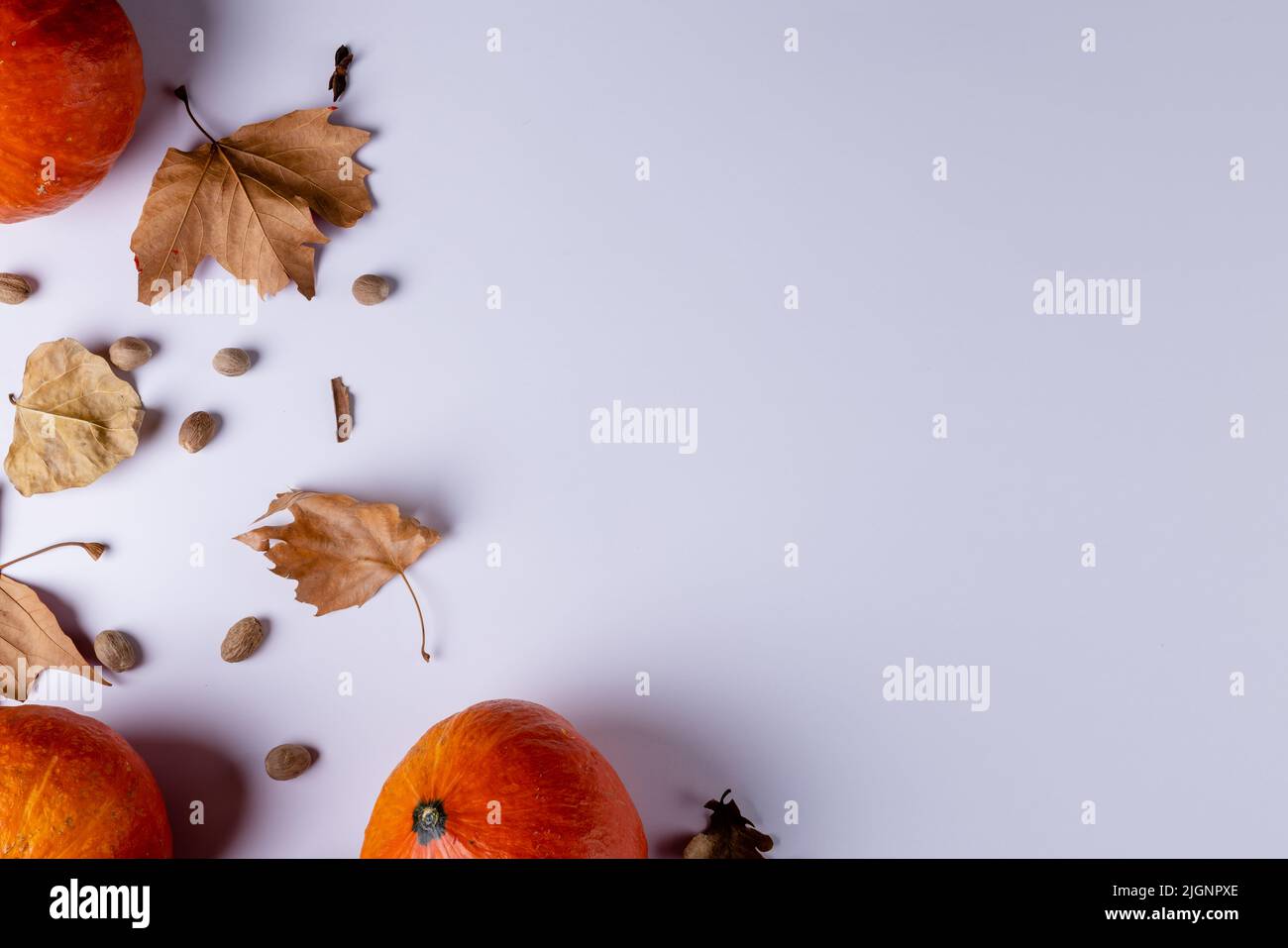 Composition of pumpkins with acorns and autumn leaves on white ...