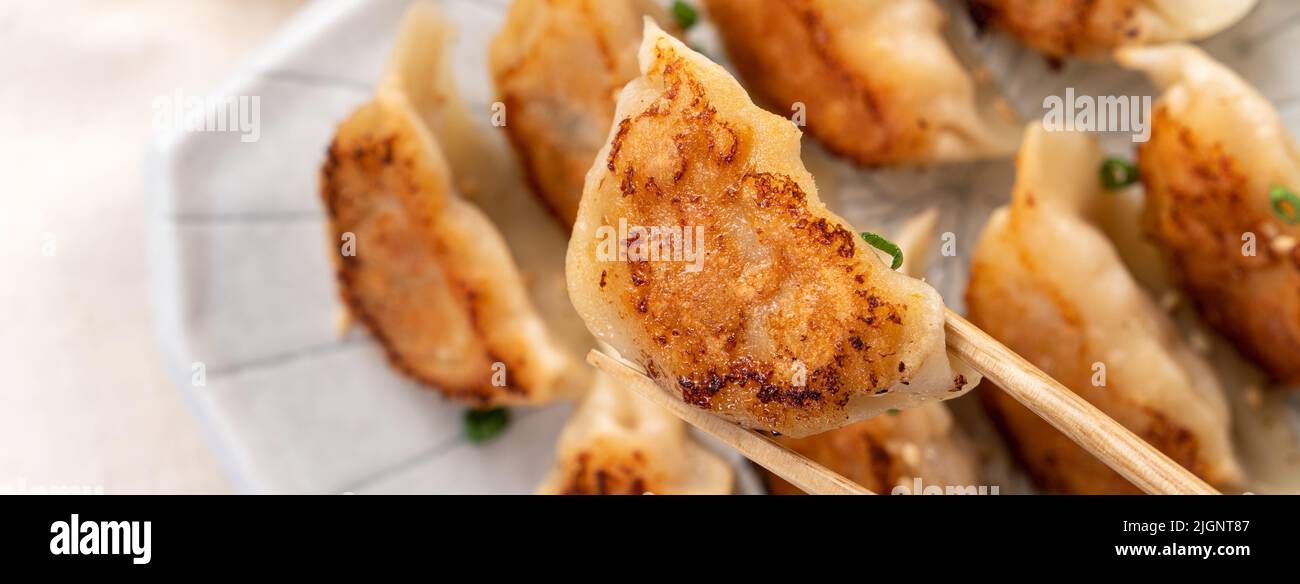 Taiwanese and Japanese Panfried gyoza dumpling jiaozi food in a plate
