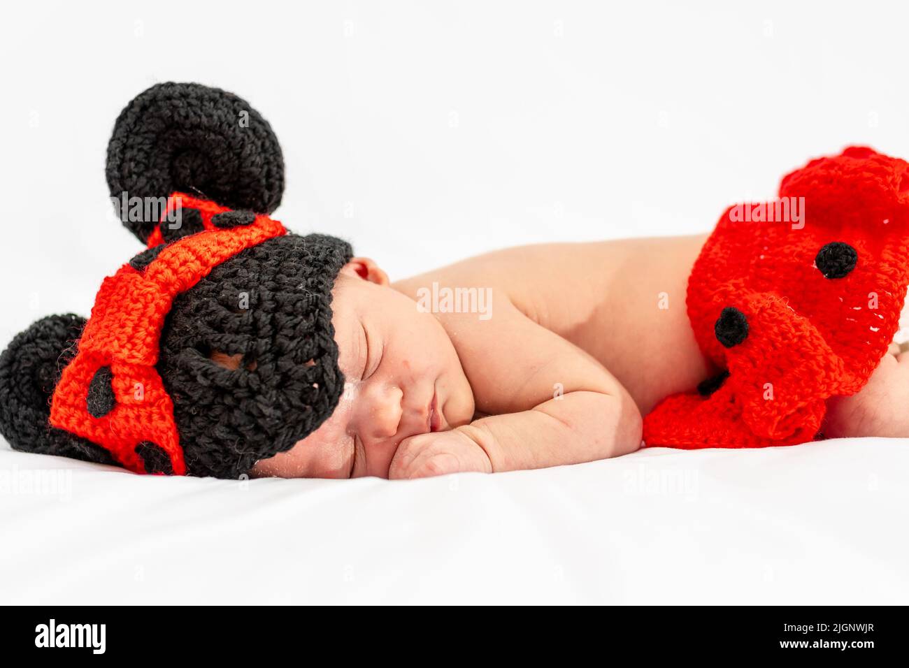 Studio photography of a newborn baby with days of life dressed as a little mouse with a hat with ears and a handmade knitted skirt. Photographic book Stock Photo