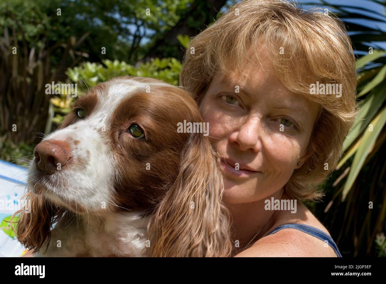 British theatre, television and film actress Jenny Seagrove photographed  with her springer spaniel Kizzy in 2005 at her home in London in the garden Stock Photo