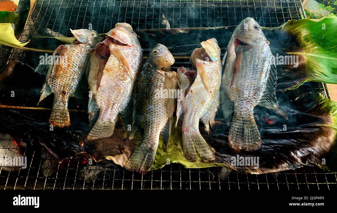 Home made grilled fresh tilapia. Asian food concept. Stock Photo