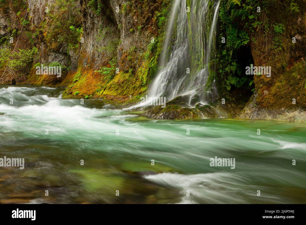 Waterfall at Salmon Creek Falls campground, Willamette National Forest