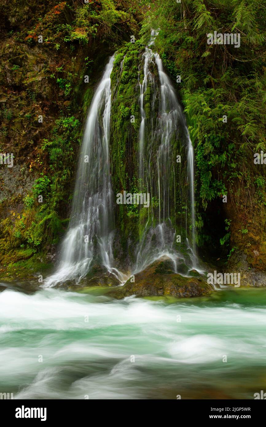 Waterfall at Salmon Creek Falls campground, Willamette National Forest