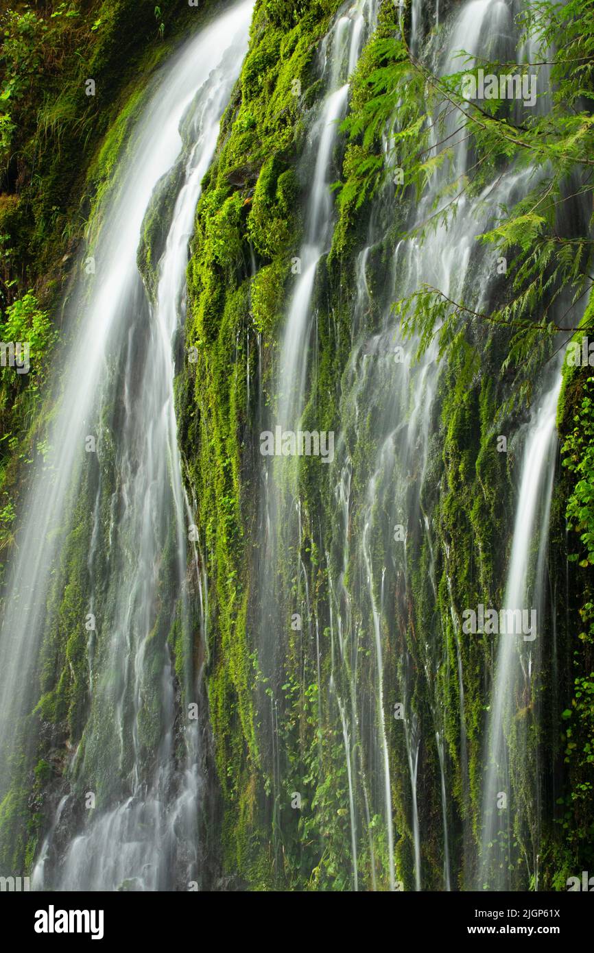 Waterfall at Salmon Creek Falls campground, Willamette National Forest