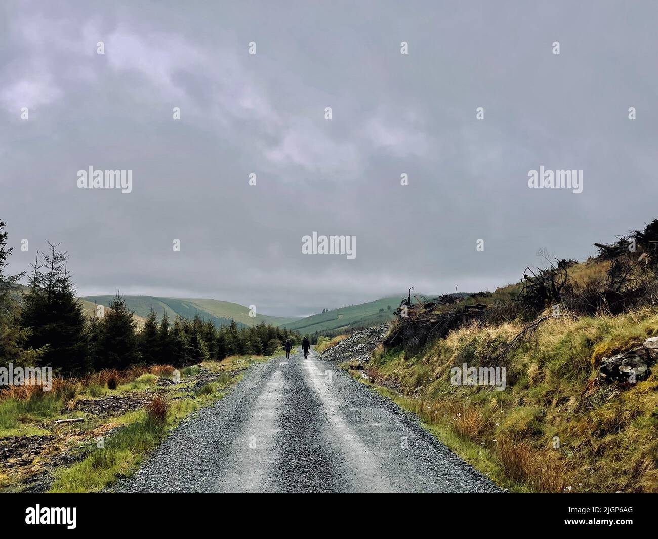 Taking a walk in the scottish countryside and taking in the lovely scenery Stock Photo