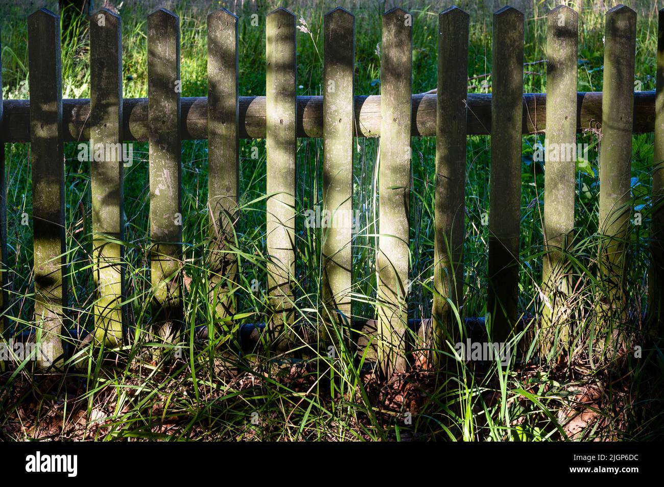 A wooden old garden fence is illuminated by the sun Stock Photo - Alamy