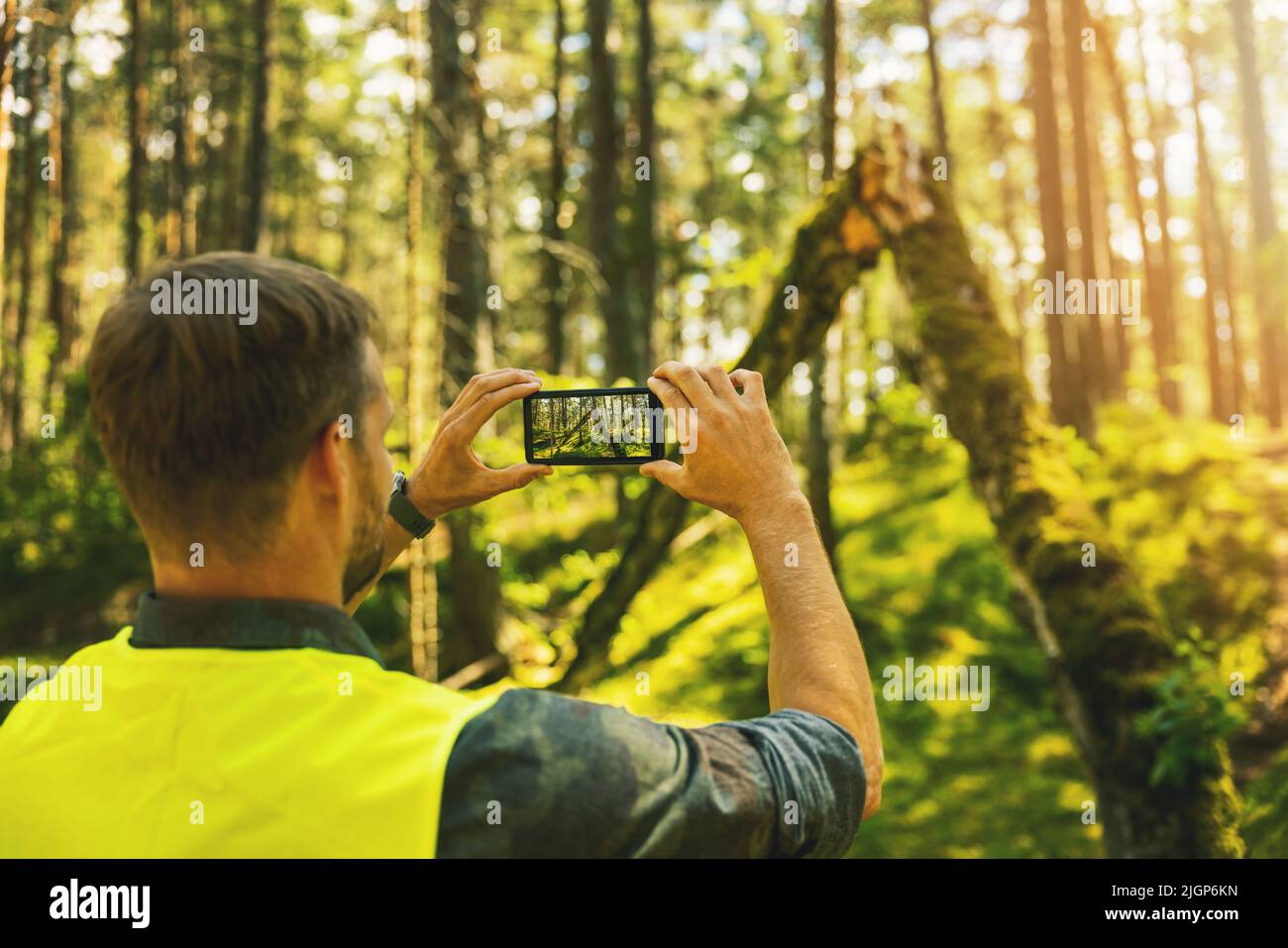 forestry inspector at a forest inspection. taking picture of a fallen tree with phone Stock Photo