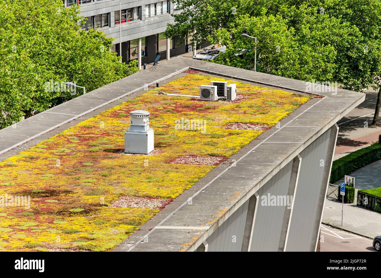 Rotterdam, The Netherlands, June 2, 2022: colorful sedum growing on the roof of the New Institute Stock Photo