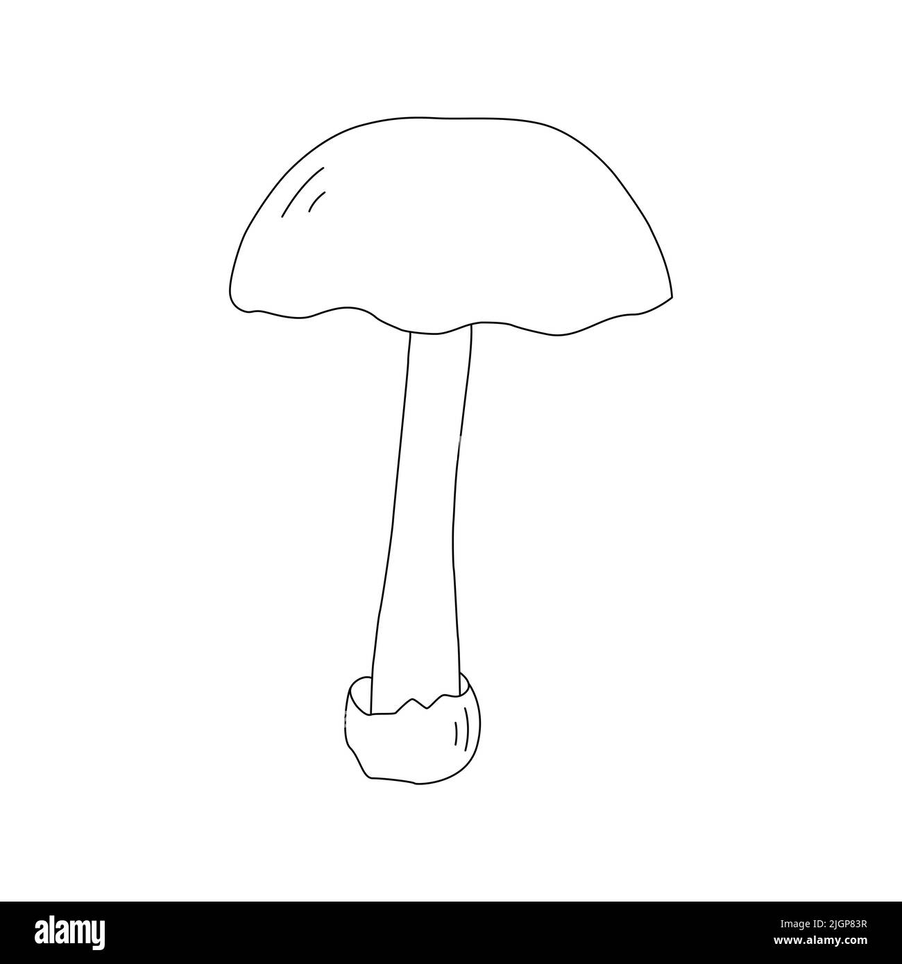 Mushroom Line Art Logo various Mushrooms hand drawn sketch. Stock Vector