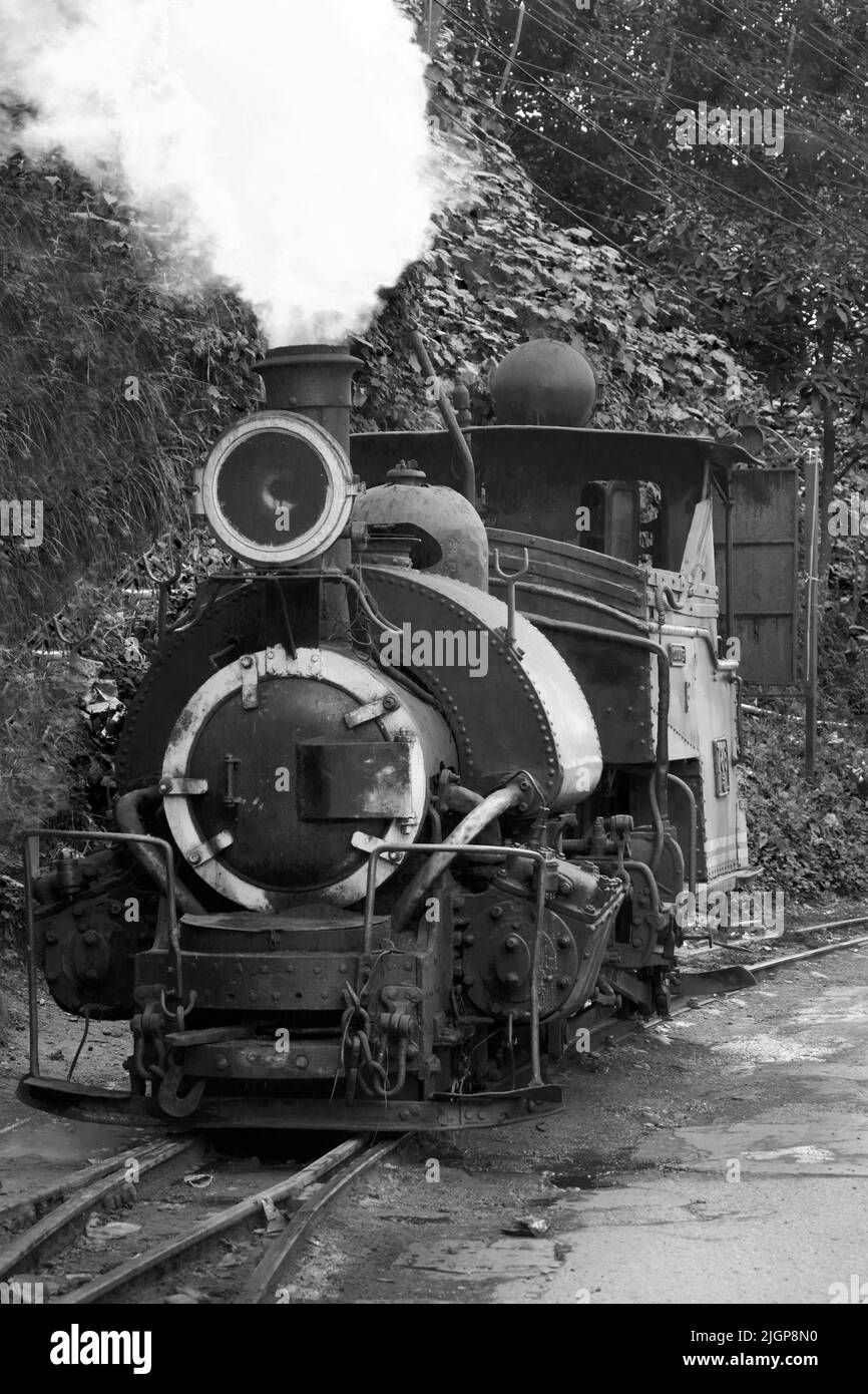 DARJEELING, INDIAN -June 22, The toy train of Darjeeling Himalayan Railway runs on the track in Darjeeling, India. Darjeeling Himalayan railway is a U Stock Photo