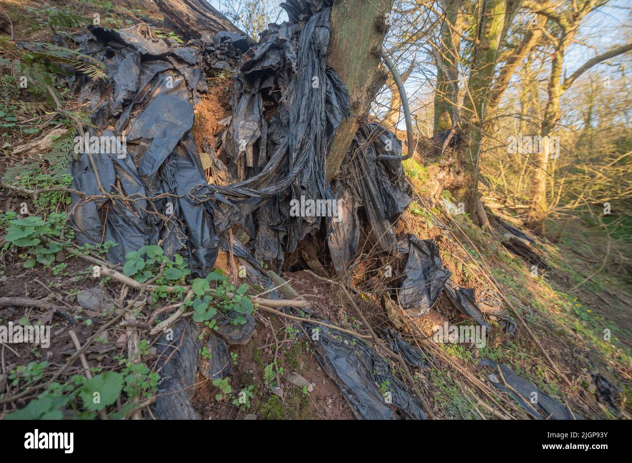 Fly tipped waste over field fence by farmer into stream gulley. Stock Photo