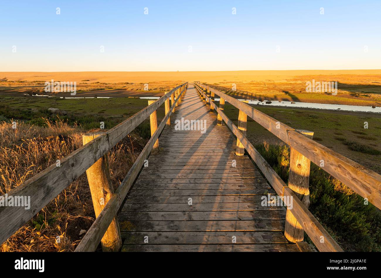 Wooden bridge going over fleet lagoon leading to Chesil Beach shingle and pebble bank jurassic coast on a sunny morning with clear blue sky. Stock Photo