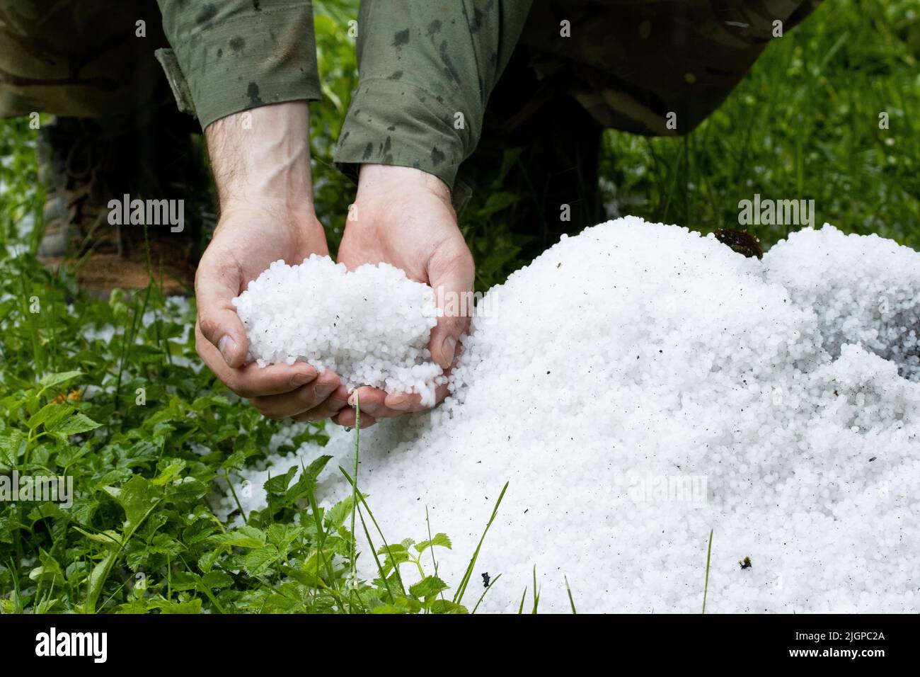 Large pile of fresh hail on the human hands and on the grass Stock Photo
