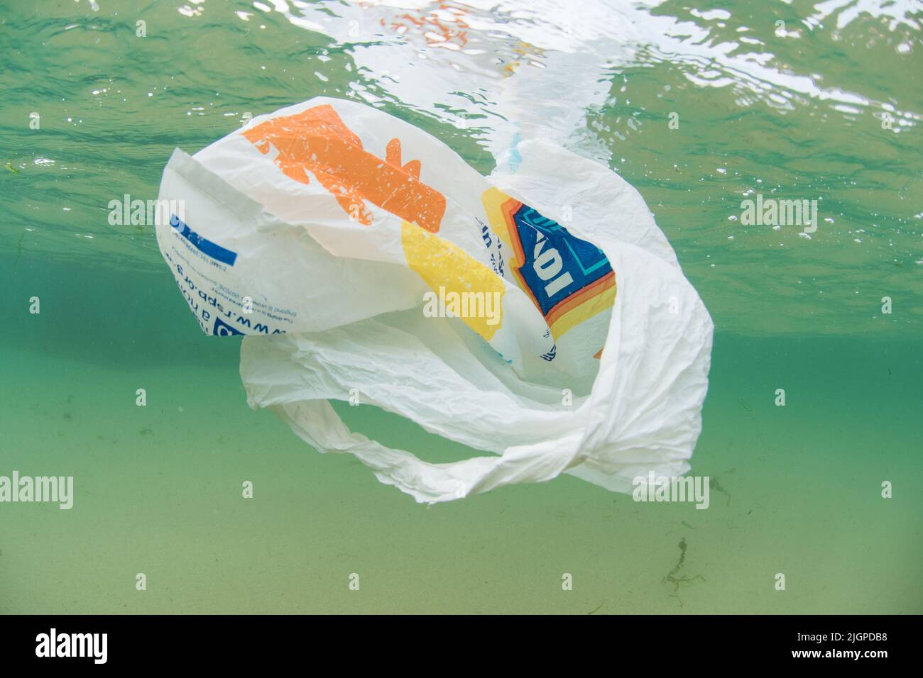 Plastic floating in ocean Stock Photo Alamy