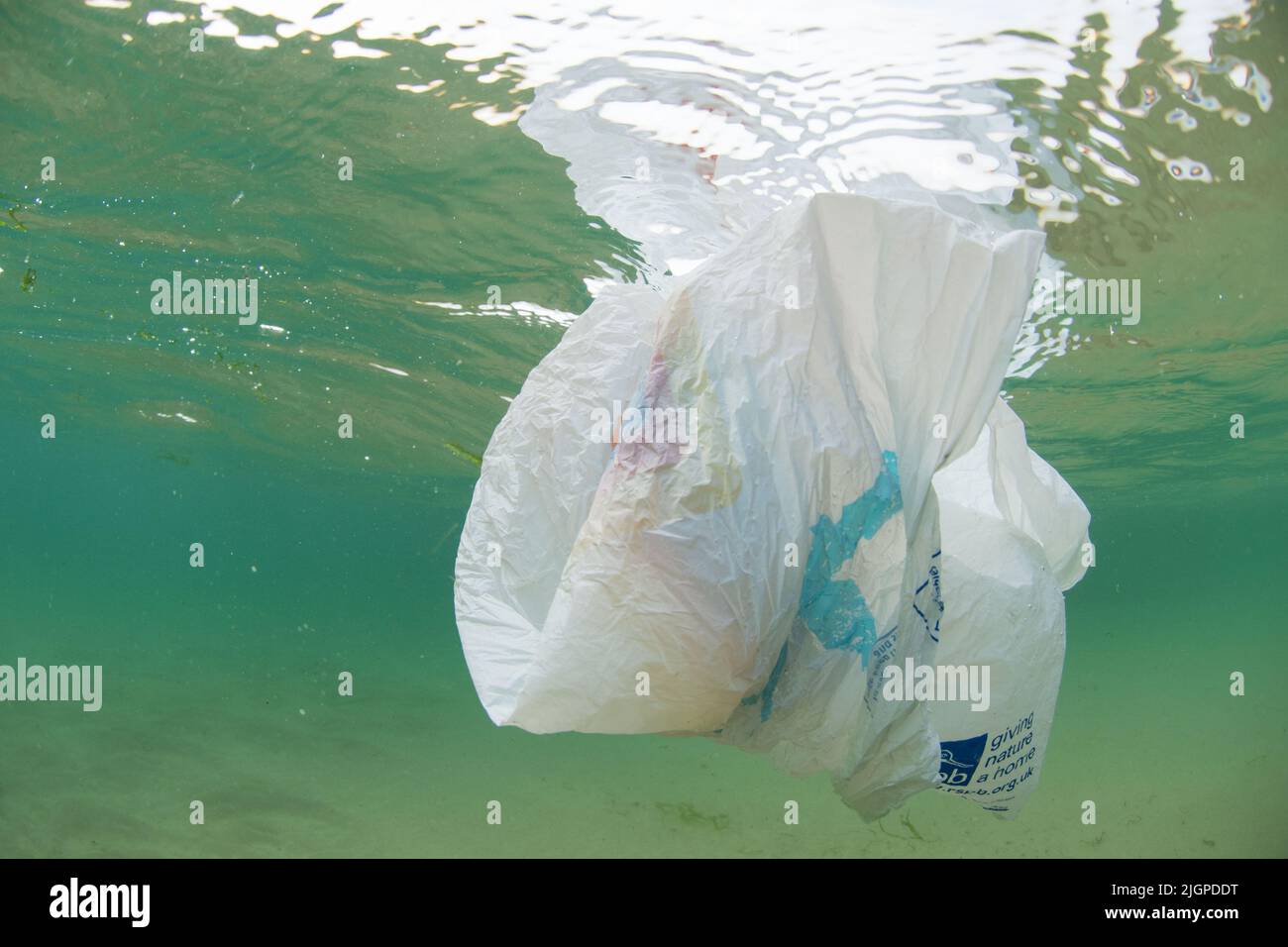 Plastic floating in ocean Stock Photo