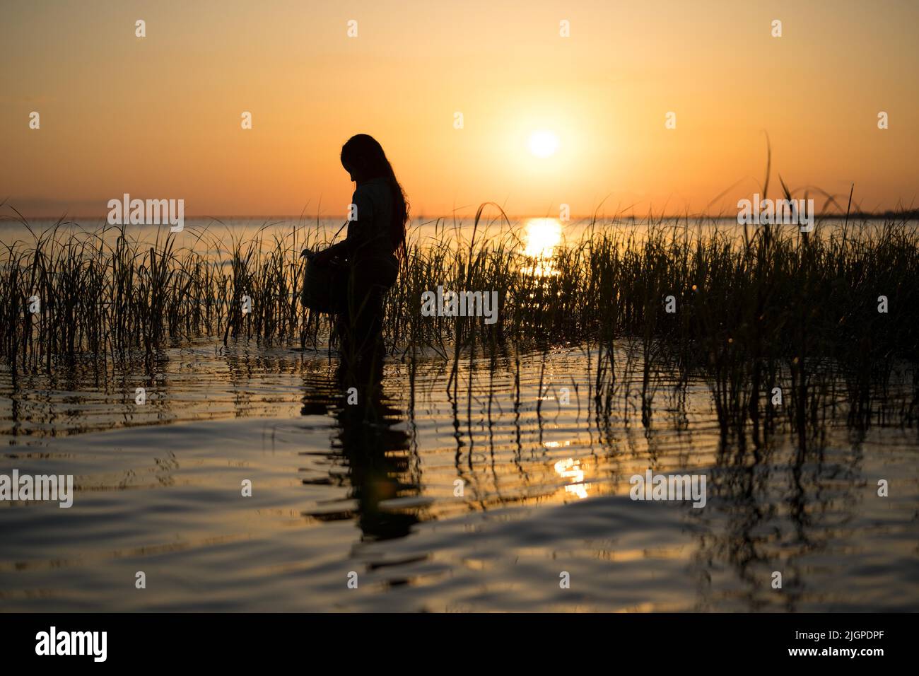 Jojo Regina Crawdads Hi Res Stock Photography And Images Alamy