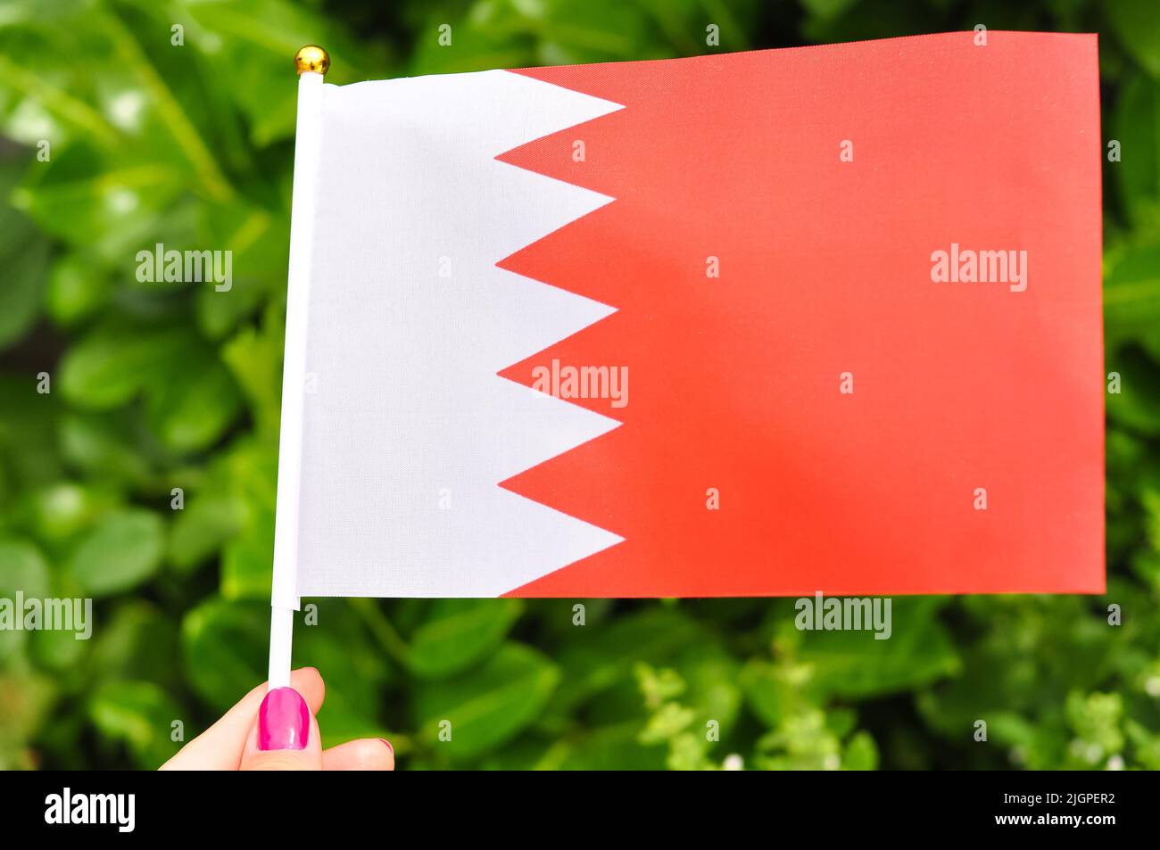 close up of national flag of bahrain red and white colors . Stock Photo