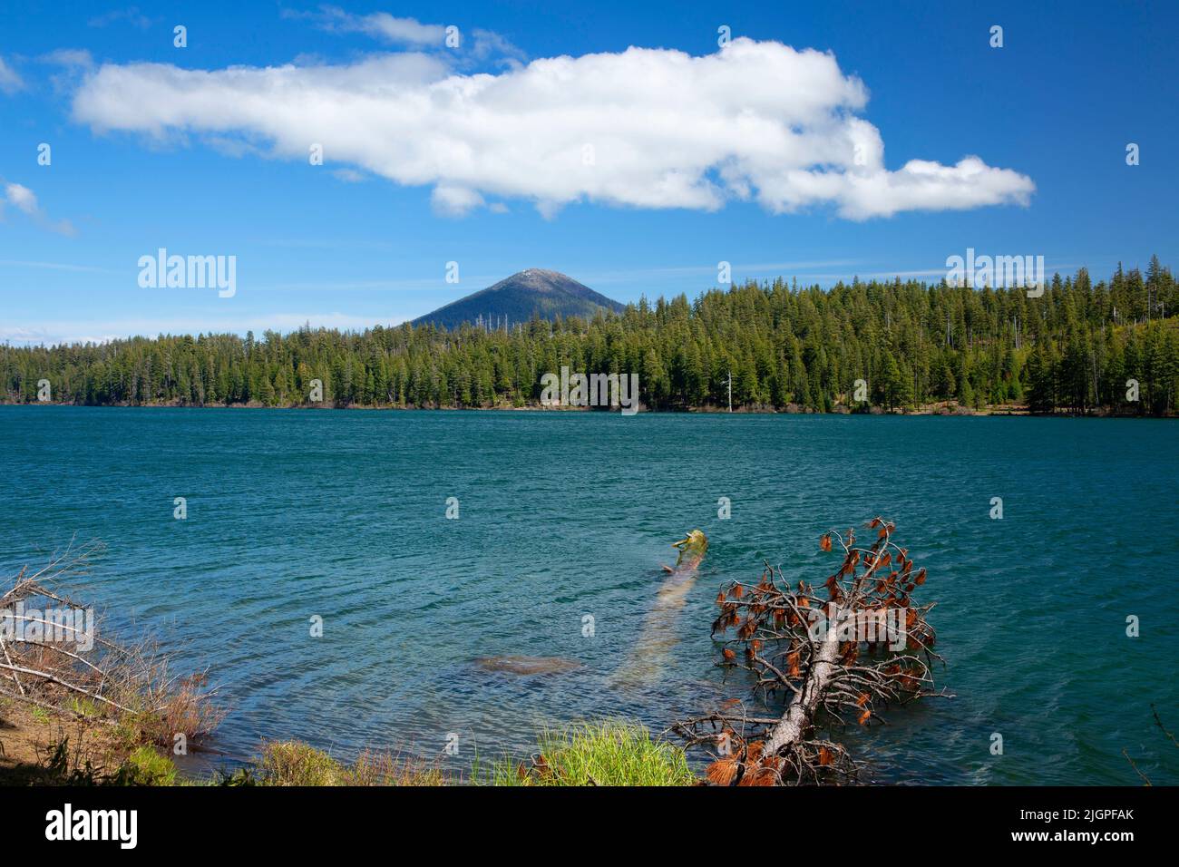Suttle Lake with Black Butte, Deschutes National Forest, Santiam Pass-McKenzie Pass National Scenic Byway, Oregon Stock Photo