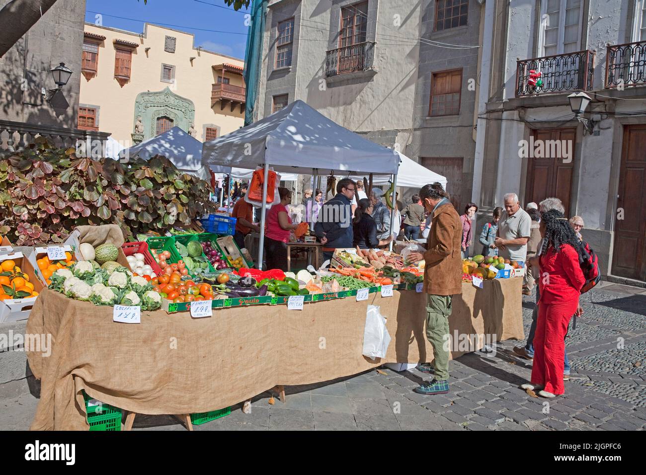 Market behind the Cathedral Santa Ana, Plaza del Pilar Nuevo, old town, Vegueta, Las Palmas, Grand Canary, Canary islands, Spain, Europe Stock Photo