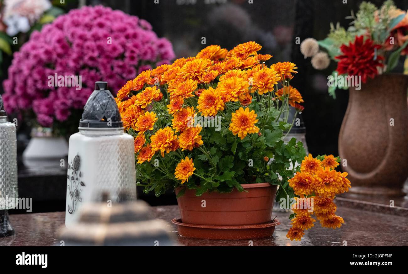 All Saints' Day and burning candles next to flowers on the graves
